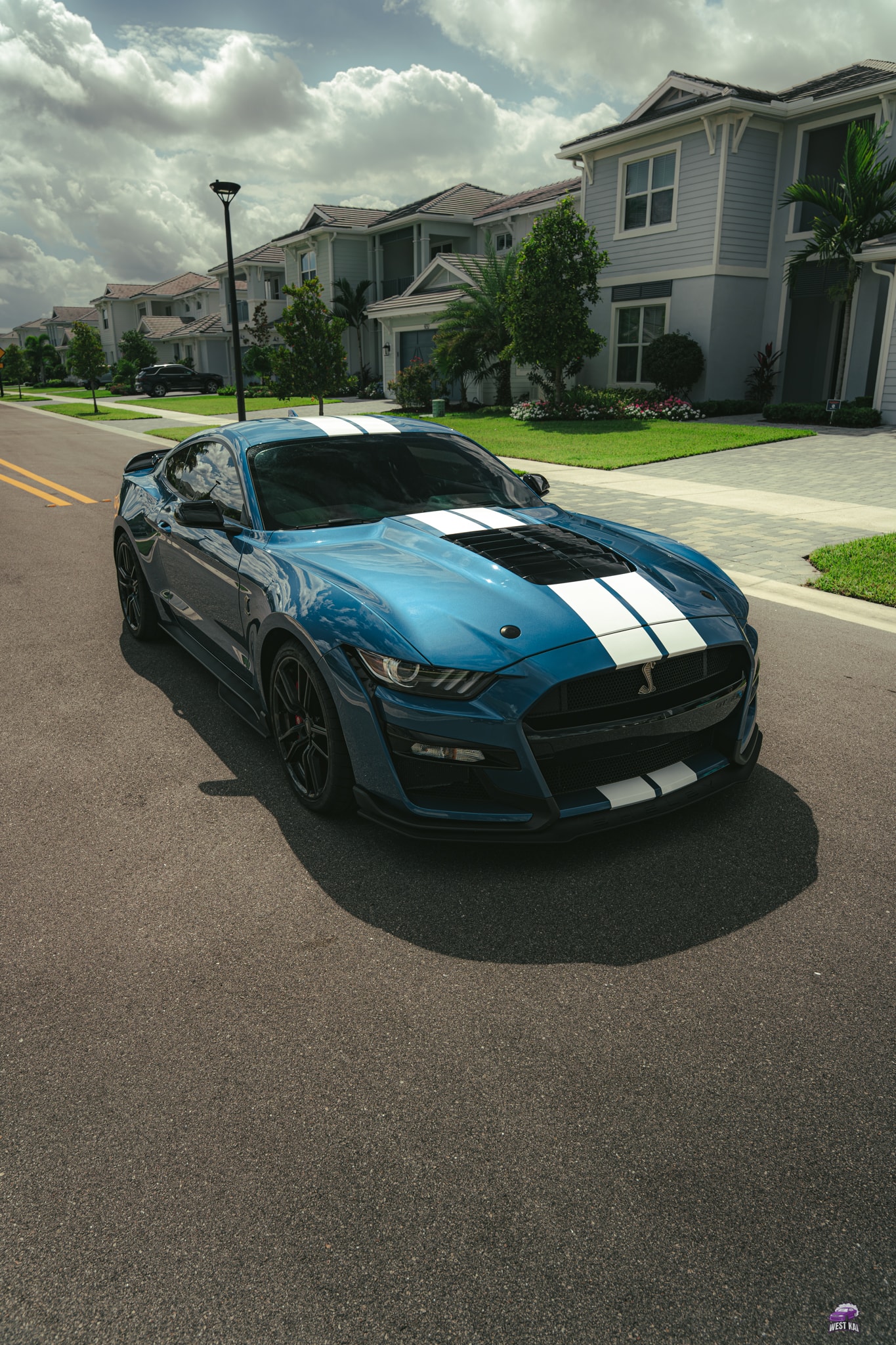 Paint Protection Film